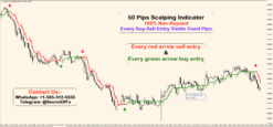 10 pips per day scalping strategy