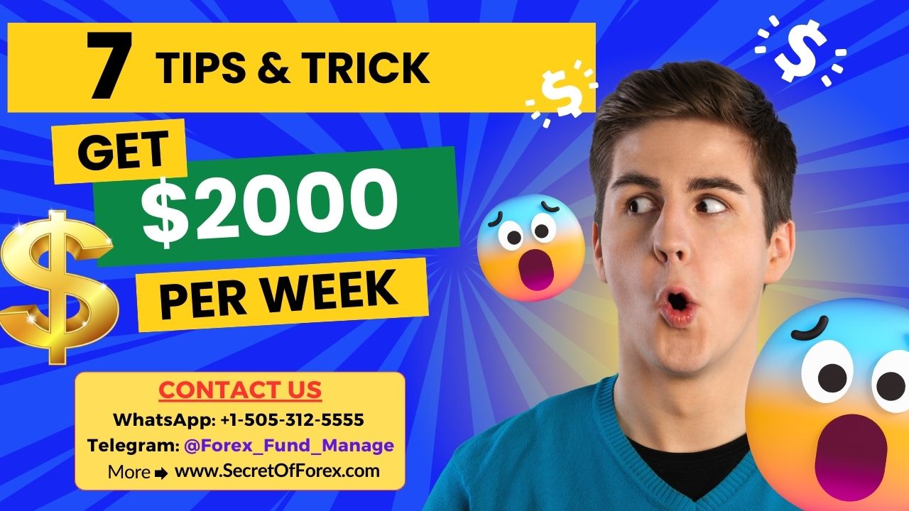 How to trade Forex effectively
Where Can You Find the 100 Pips No Repaint Indicator