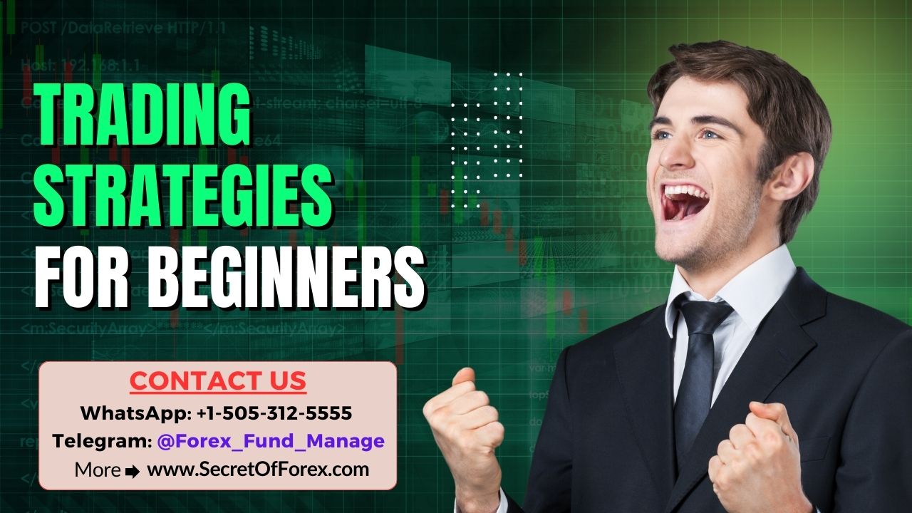 how to identify trend reversals
8 Strategies to Combine with the 100% Non Repaint MT4 Indicator