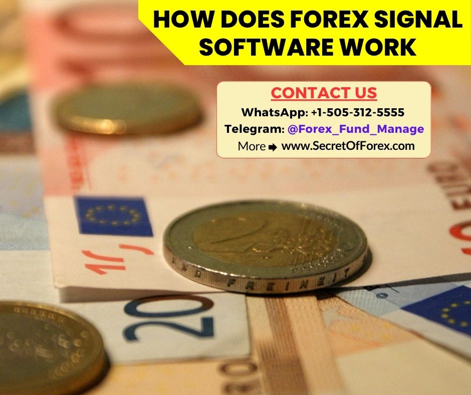 How Does Forex Signal Software Work