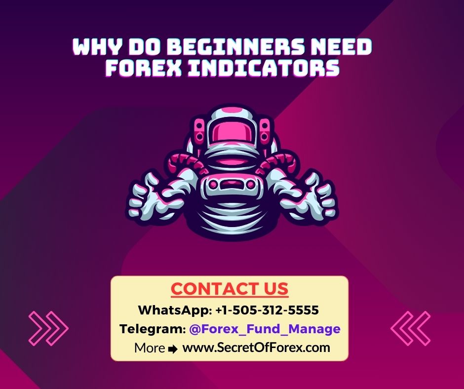 Why Do Beginners Need Forex Indicators