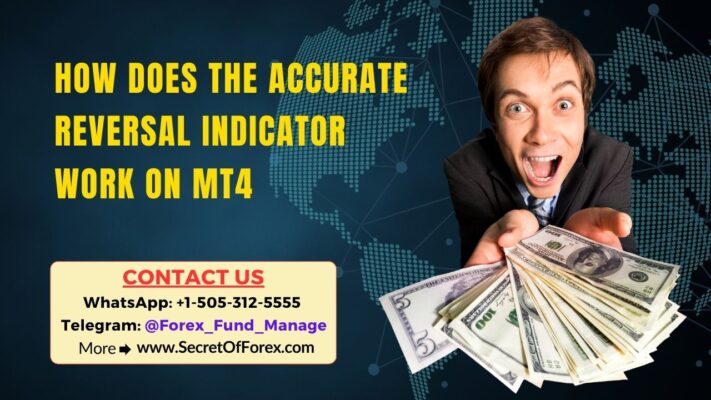 How Does the Accurate Reversal Indicator Work on MT4