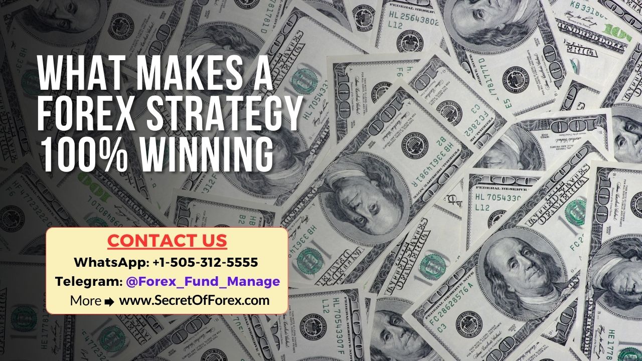 What Makes a Forex Strategy 100% Winning