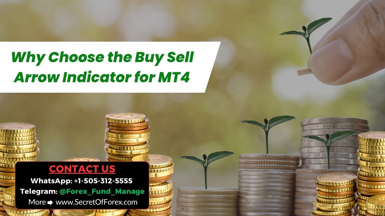 Why Choose the Buy Sell Arrow Indicator for MT4