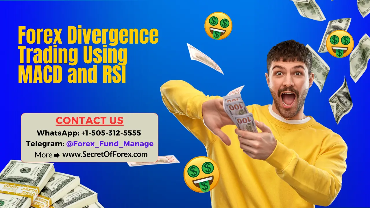 Forex Divergence Trading Using MACD and RSI
