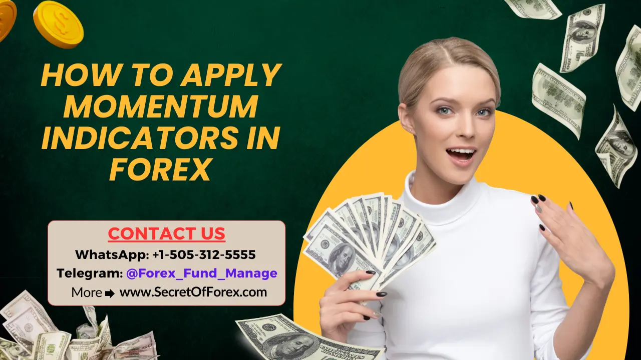 How to Apply Momentum Indicators in Forex