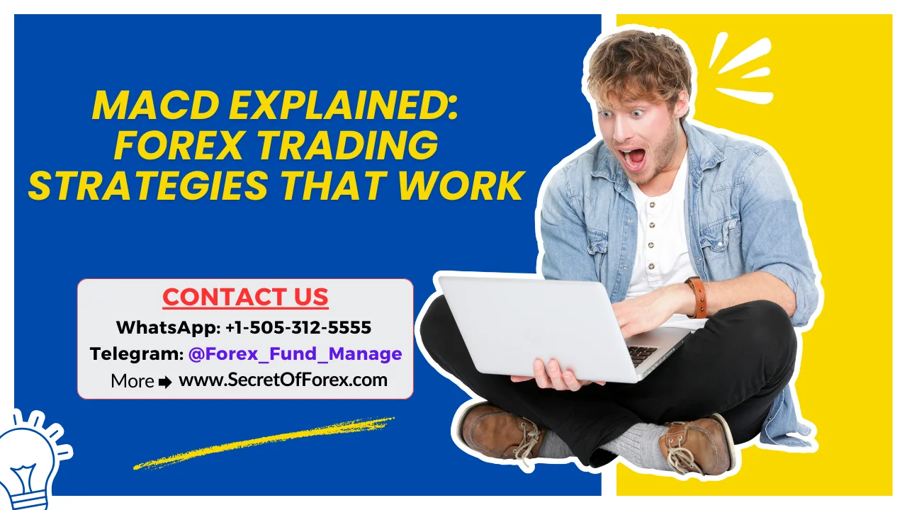 MACD Explained Forex Trading Strategies That Work