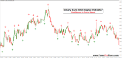 Binary Professional Arrow System