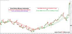 Fast Entry Binary Indicator