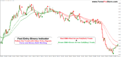 High-Speed Binary Entry Indicator